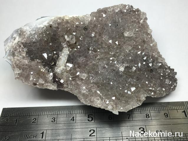 Компания кладоискателей. Болталка форума Минералов