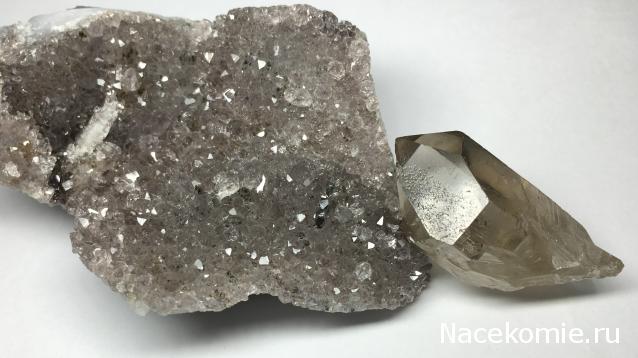 Компания кладоискателей. Болталка форума Минералов