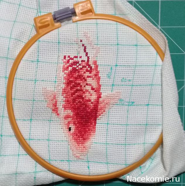 100 крестиков!