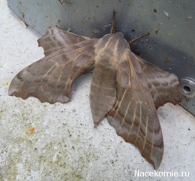 "Живой уголок"