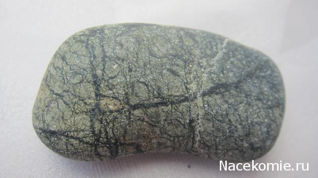 Компания кладоискателей. Болталка форума Минералов