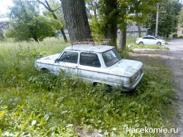 Автолегенды вживую