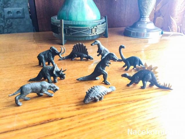 "Живой уголок"