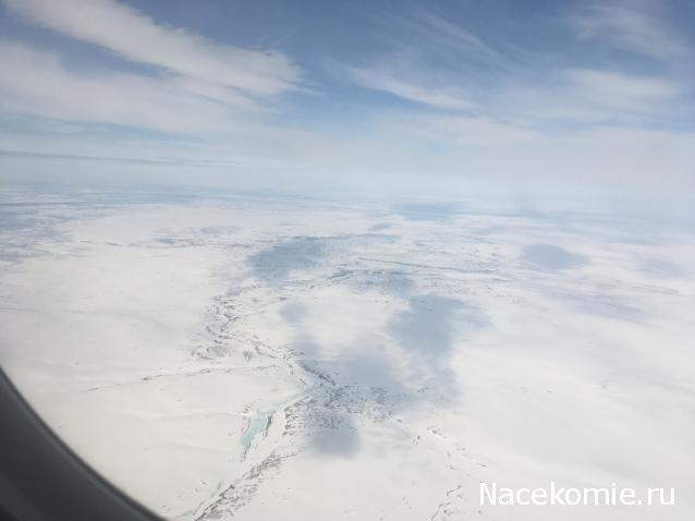 Автолегенды вживую