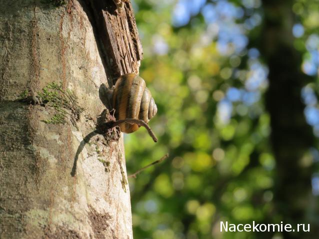 "Живой уголок"