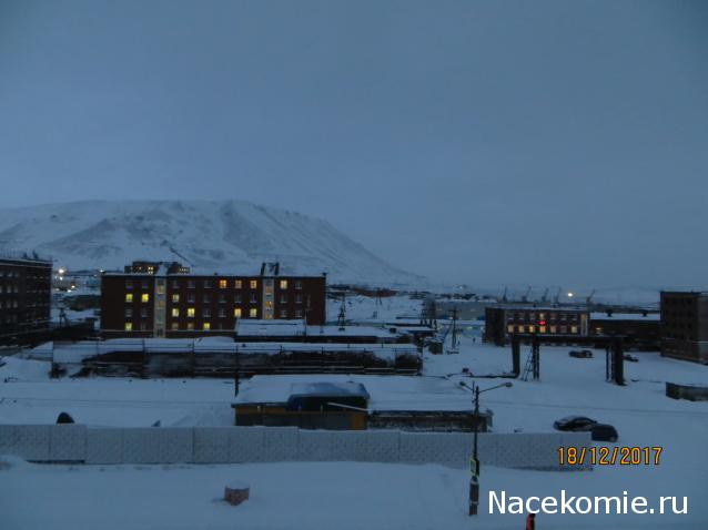 "Живой уголок"