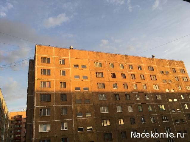 "Живой уголок"