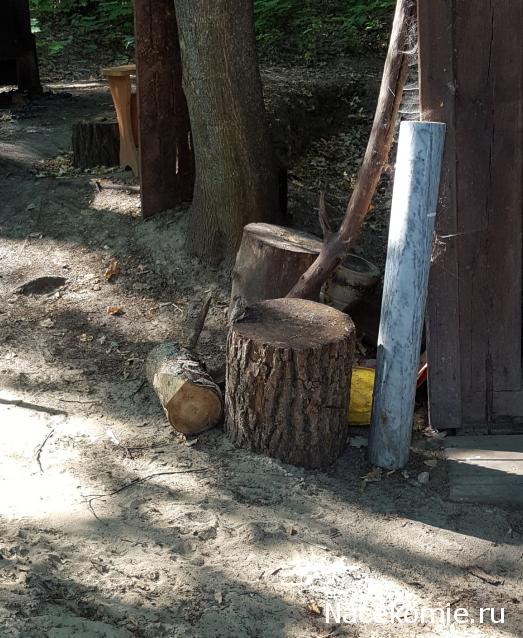 "Живой уголок"