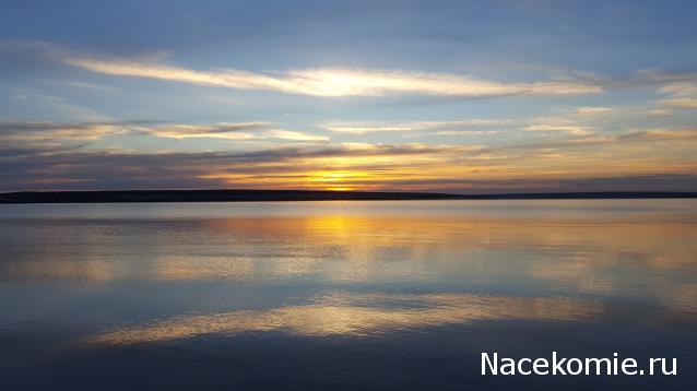 "Живой уголок"