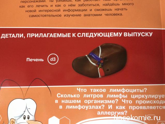 Тело Человека (DeAgostini) - График выхода и обсуждение