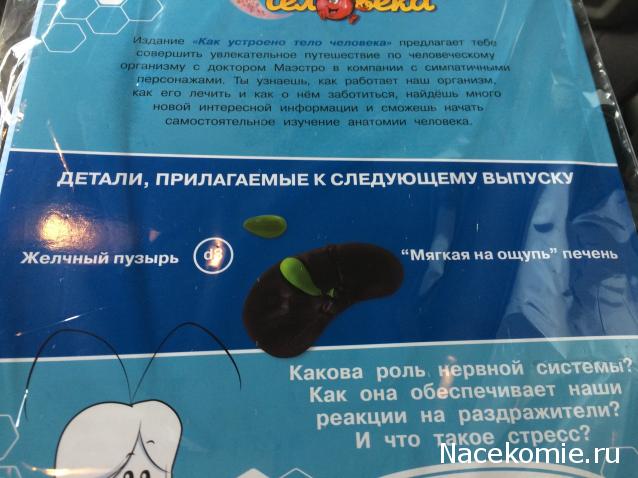 Тело Человека (DeAgostini) - График выхода и обсуждение