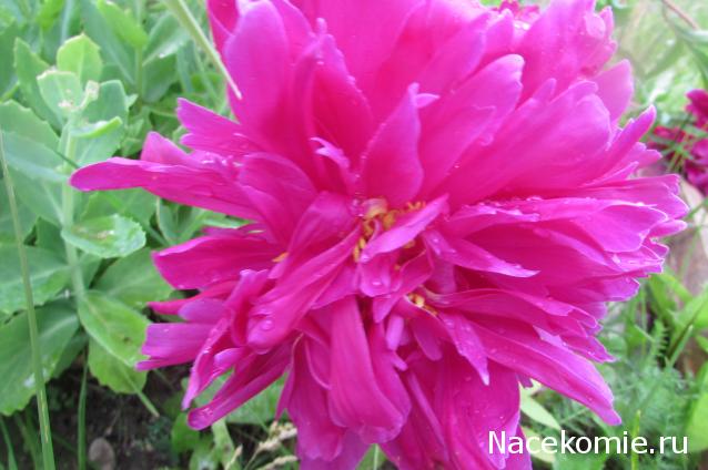 "Живой уголок"