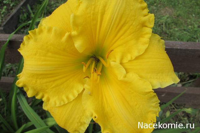 "Живой уголок"