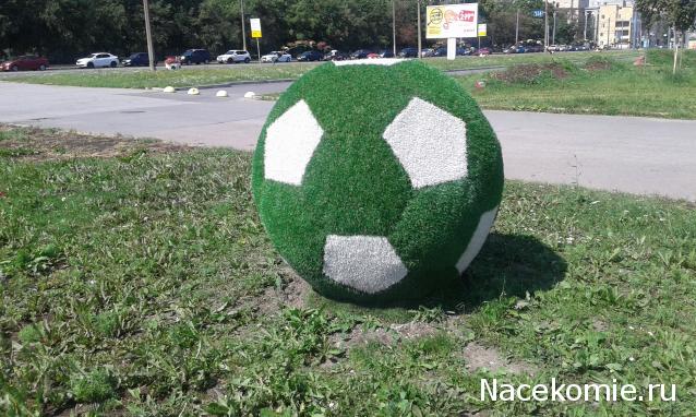 "Живой уголок"