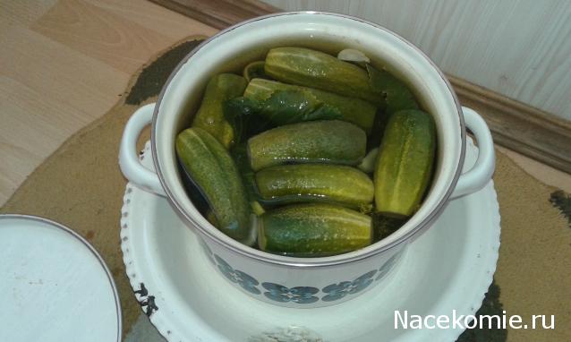 Кулинарный отдел