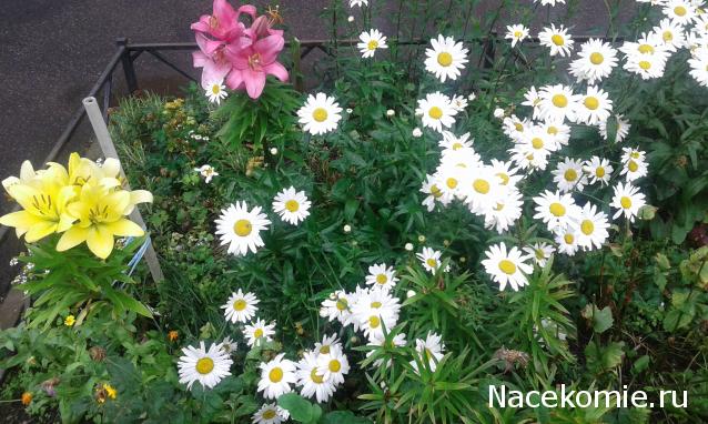 "Живой уголок"