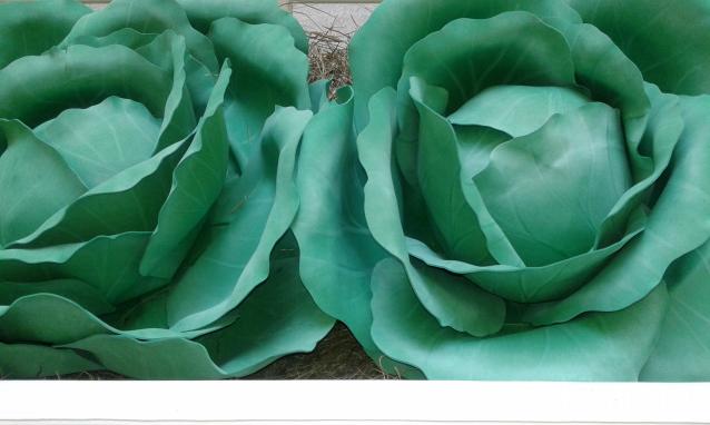 "Живой уголок"