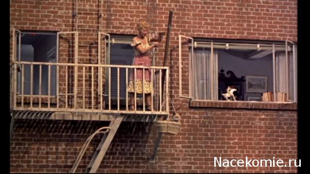 Кинозал автолюбителей