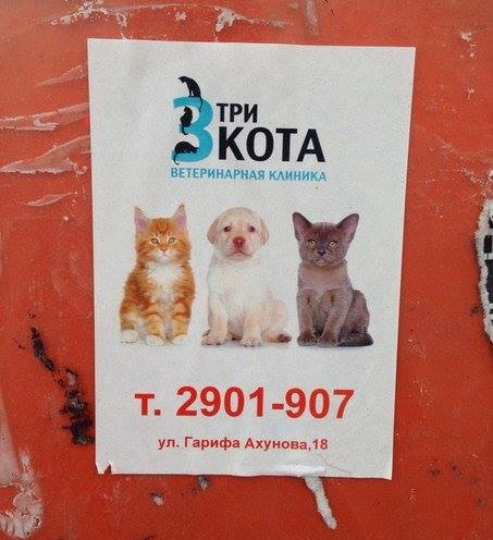 "Живой уголок"