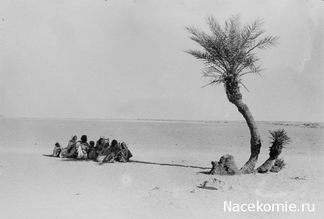 "Живой уголок"