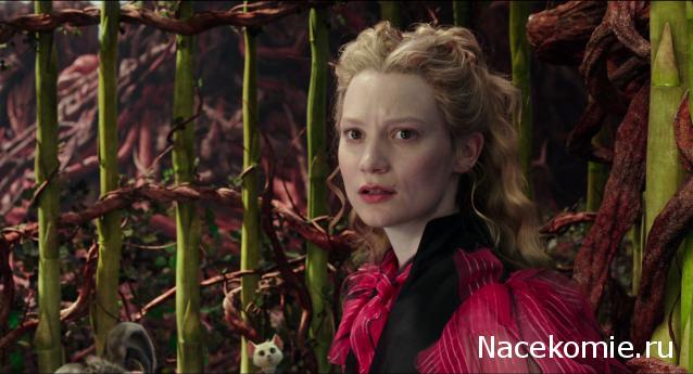 Кинозал автолюбителей