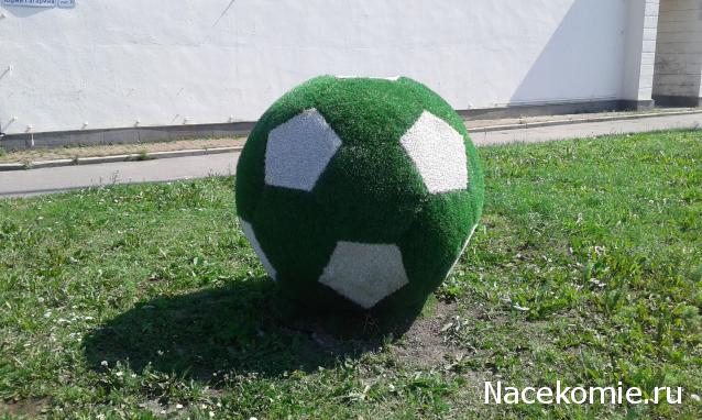 "Живой уголок"