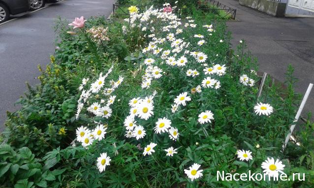 "Живой уголок"