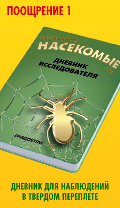 Насекомые & Ко - Обсуждение подписки и подарков к ней