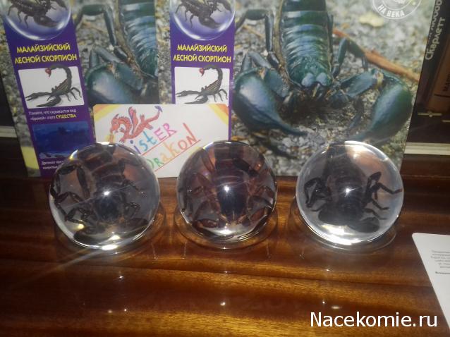 "Живой уголок"