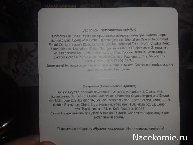 "Живой уголок"