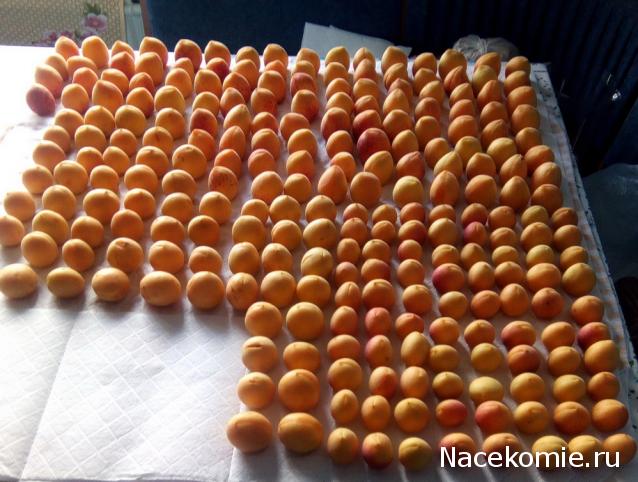 Кулинарный отдел