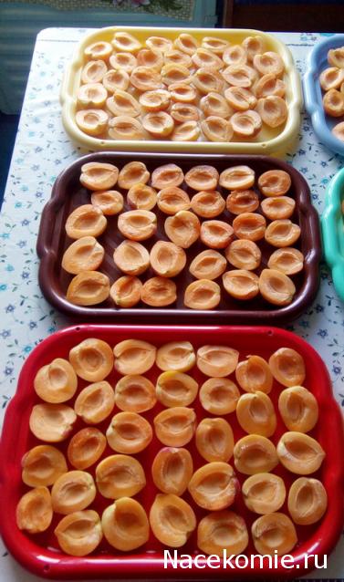 Кулинарный отдел