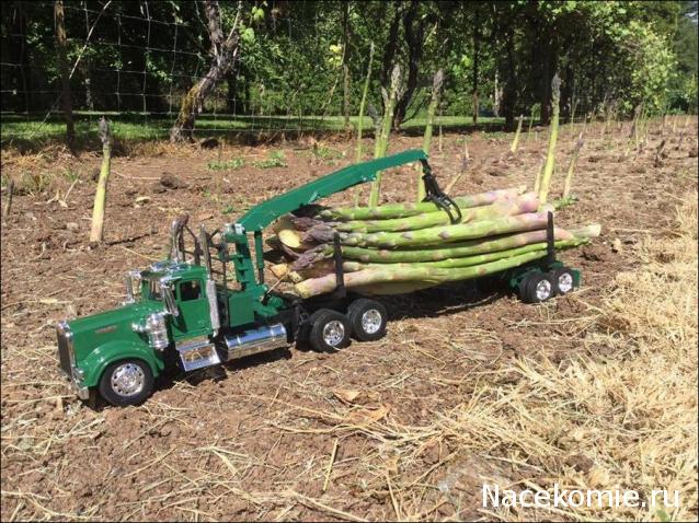 Гаражные посиделки - Болталка-трёп АЛГ