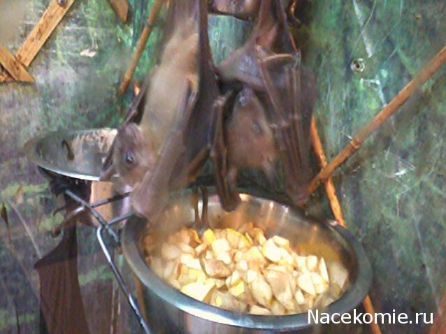 "Живой уголок"