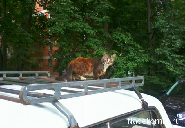 "Живой уголок"