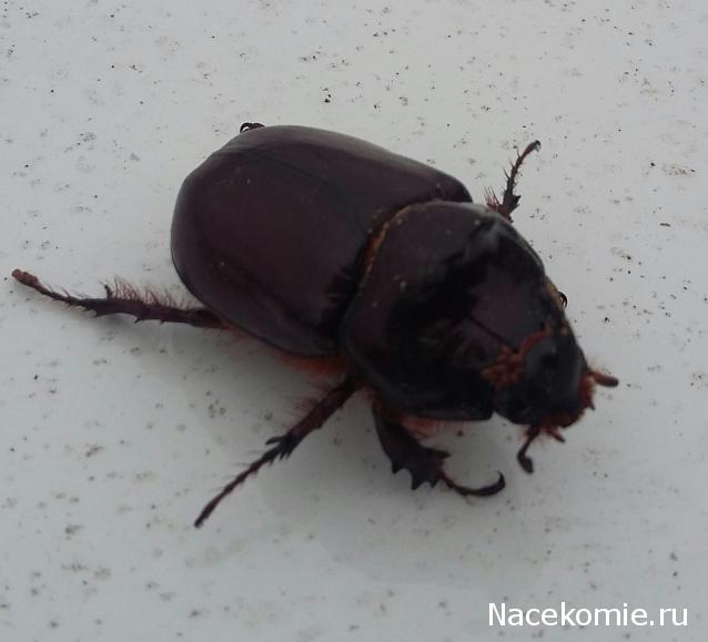 "Живой уголок"