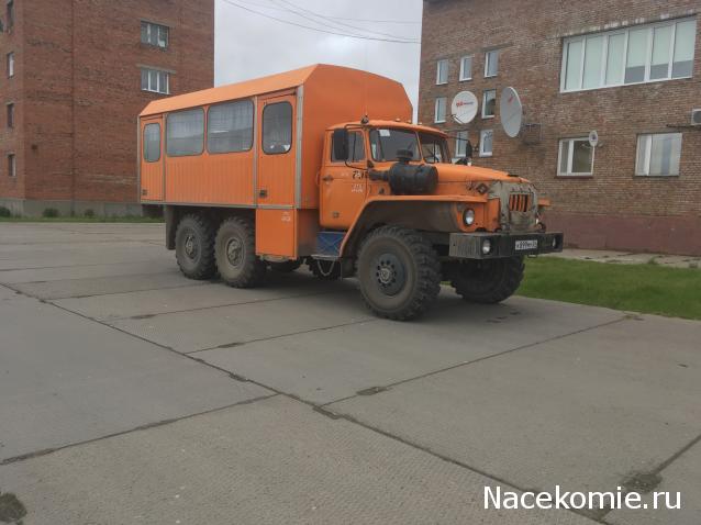 Автолегенды вживую