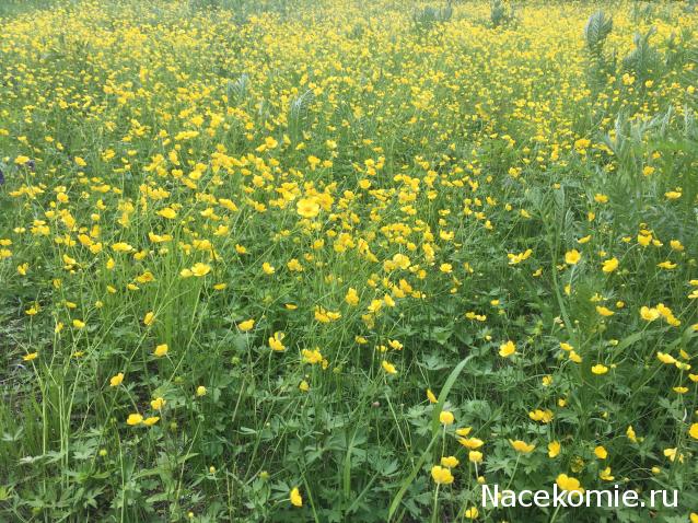 "Живой уголок"