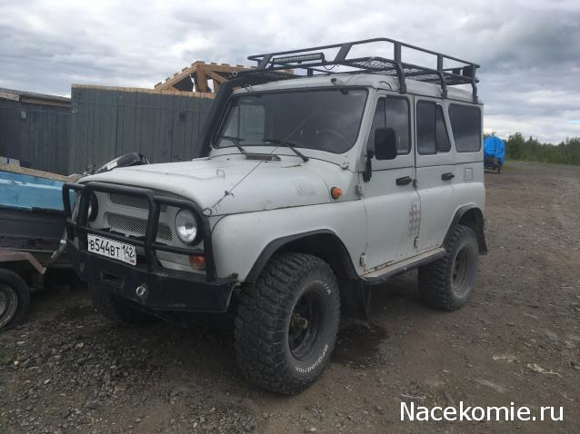 Автолегенды вживую