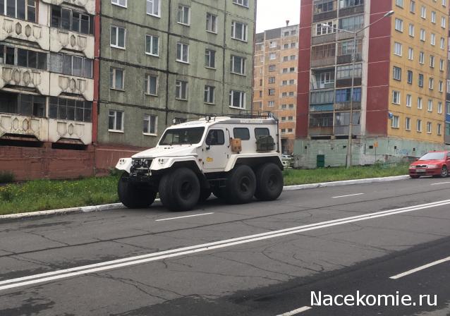 Автолегенды вживую