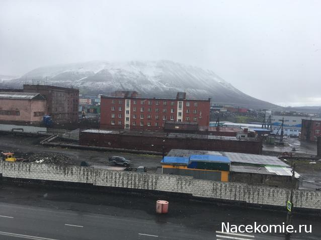 "Живой уголок"