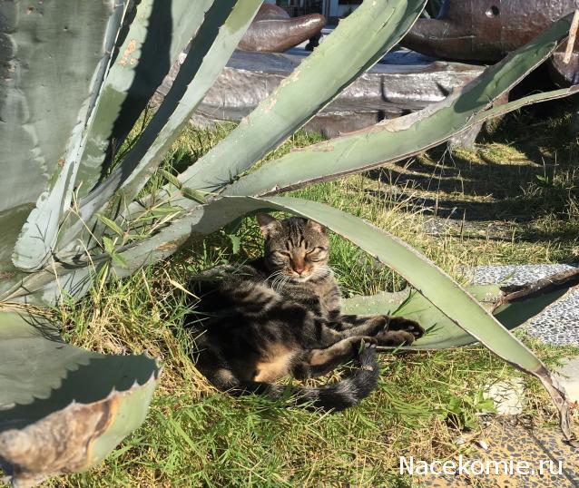 "Живой уголок"