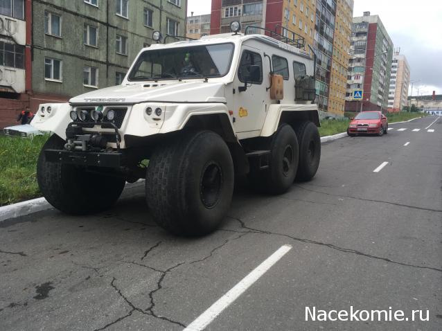 Автолегенды вживую