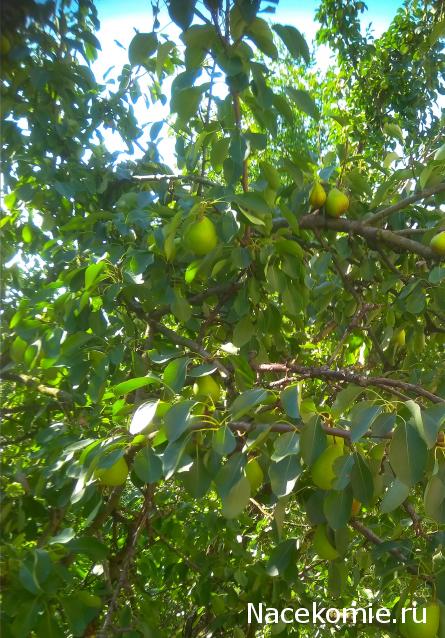 Куклы в народных костюмах – "Девчушки-болтушки"