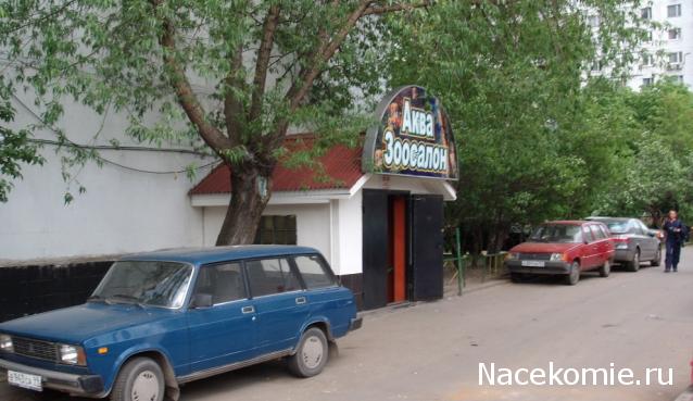 Автолегенды вживую