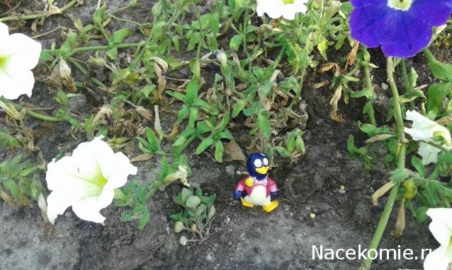 "Живой уголок"