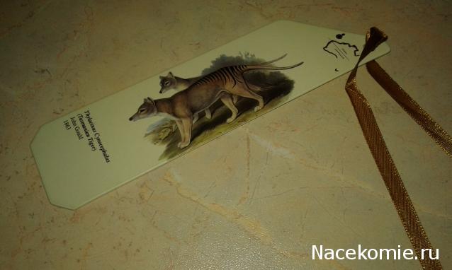 "Живой уголок"