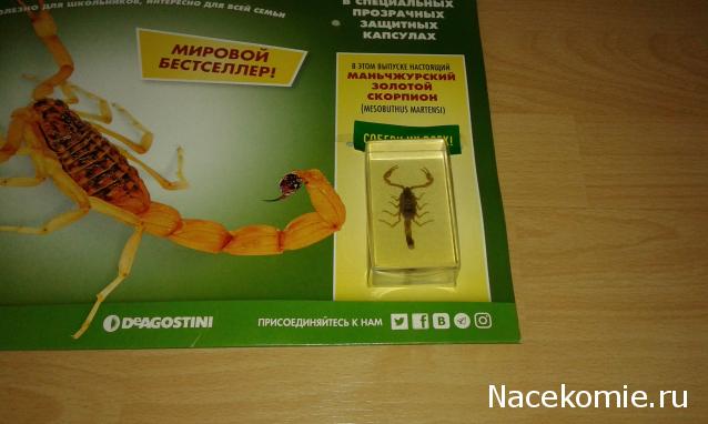 "Живой уголок"