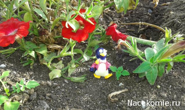 "Живой уголок"