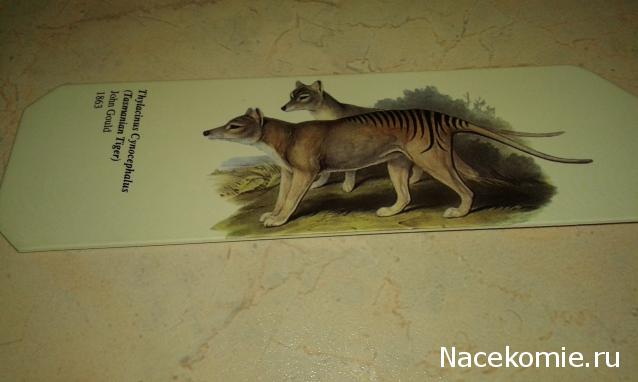 "Живой уголок"